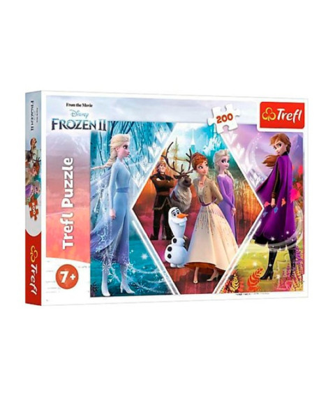 TF Puzzle "160" - Sister adventure / Disney Frozen II